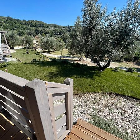 Podere Cortesi Agriturismo Molinaccio Santa Luce Ngoại thất bức ảnh