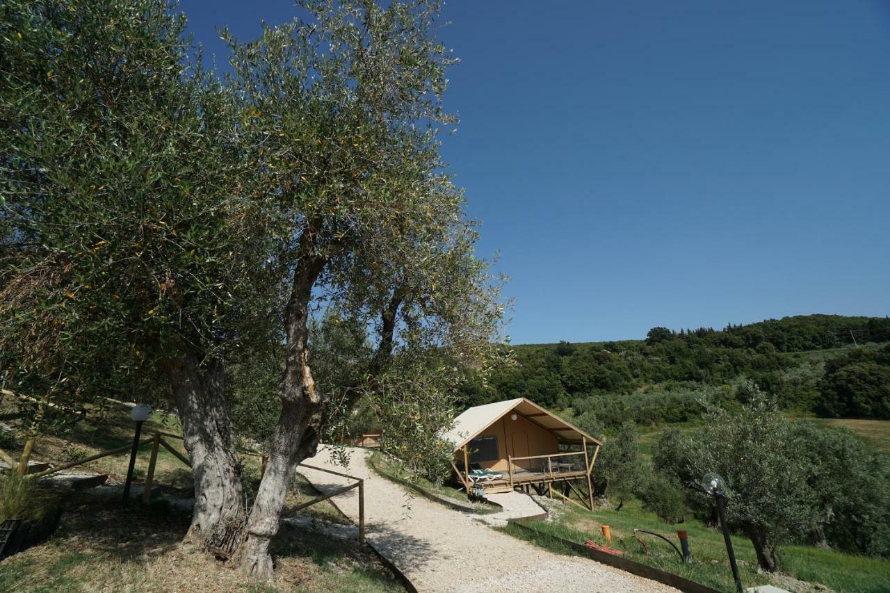 Podere Cortesi Agriturismo Molinaccio Santa Luce Ngoại thất bức ảnh