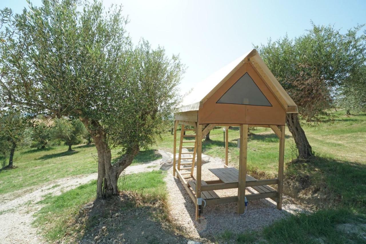 Podere Cortesi Agriturismo Molinaccio Santa Luce Ngoại thất bức ảnh